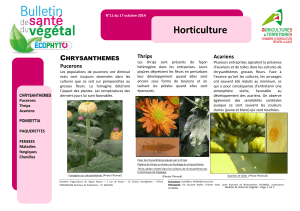 Horticulture - Fleurs et Plantes d`Alsace