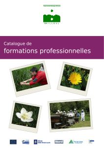 Catalogue de formations professionnelles