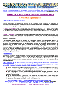 stage exclusif : la voix de la communication