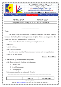 Examen N°1 Français Sujet N°1