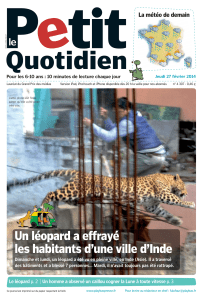 Le léopard - LEPETITQUOTIDIEN.FR