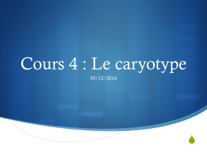 Cours 4 : Le caryotype