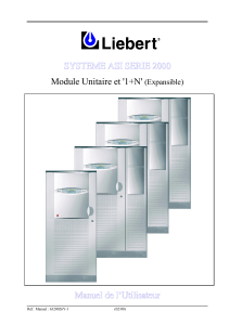 SYSTEME ASI SERIE 2000 Module Unitaire et `1+N` (Expansible