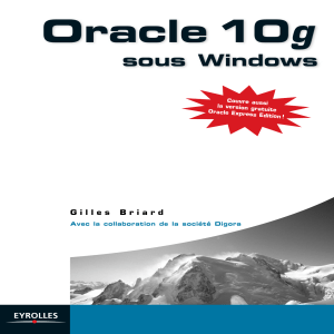 Oracle 10g sous windows