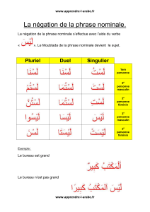 La négation de la phrase nominale.