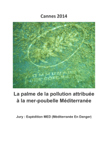 Cannes 2014 La palme de la pollution attribuée à la mer
