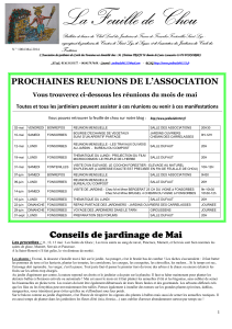 n°104- LA FEUILLE DE CHOU DE MAI 2014