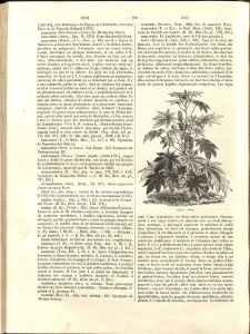 RICH — 736 — 118-47-51], et la Botanique du Voyage de l