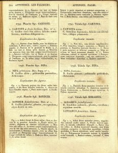 5o2 APPENDICE. LES PALMIERS. APPENDIX. PALMI. 1794