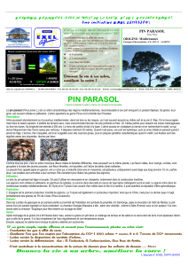 Pochette PIN PARASOL +