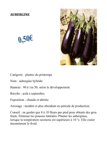 le catalogue des plants