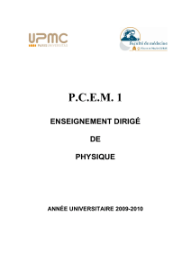 PCEM 1