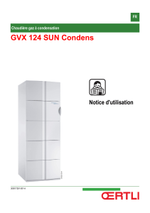GVX 124 SUN Condens