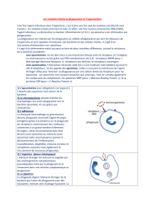 PDF-Les-modules-induits-la-phagocytose-et-l