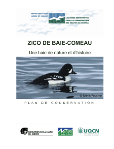 Plan de conservation