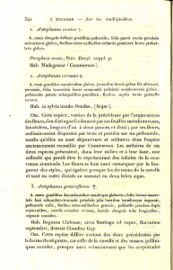i. ^stephanus ovutus -f. Periploca ovata, Poir. Eïicyl. supplì, p. Hab