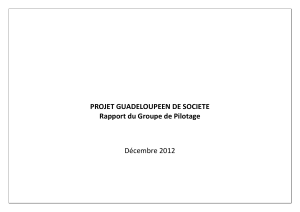 "Projet guadeloupéen de société": documents du Groupe de pilotage.
