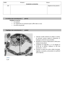 DS cellule struct parente