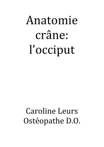 Caroline Leurs Ostéopathe D.O. - Fichier
