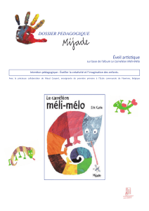 Le Caméléon Méli-Mélo