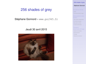 256 shades of grey www.psi945.fr Stéphane Gonnord – Stéphane Gonnord