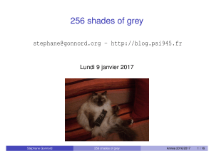 256 shades of grey - Lundi 9 janvier 2017 Stéphane Gonnord
