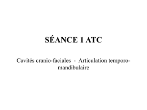 SÉANCE 1 ATC Cavités cranio-faciales  - Articulation temporo- mandibulaire