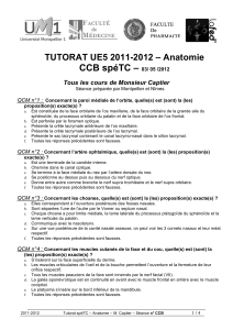 CCB spéTC –  TUTORAT UE5 2011-2012 – Anatomie