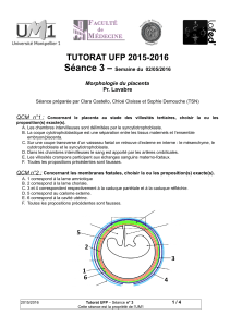 Séance 3 –  TUTORAT UFP 2015-2016 Morphologie du placenta