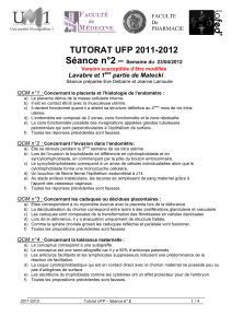 Séance n°2 – TUTORAT UFP 2011-2012 Lavabre et 1