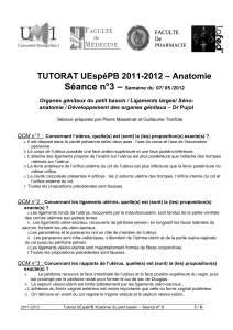 Séance n°3 –  TUTORAT UEspéPB 2011-2012 – Anatomie