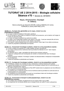 – Séance n°6 – Biologie cellulaire