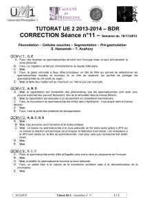 CORRECTION Séance n°11 –  TUTORAT UE 2 2013-2014 – BDR