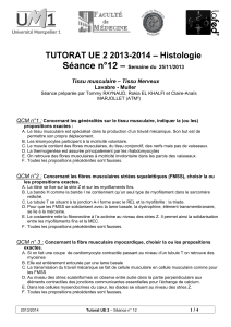 Séance n°12 – TUTORAT UE 2 2013-2014 – Histologie
