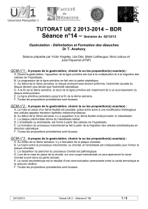 – Séance n°14 – BDR
