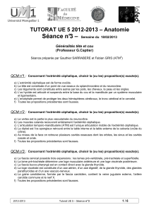 Séance n°3 – TUTORAT UE 5 2012-2013 – Anatomie