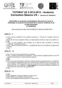Correction Séance n°4 – TUTORAT UE 5 2012-2013 – Anatomie