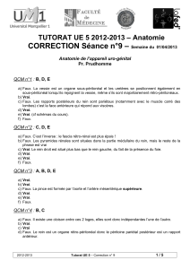 – CORRECTION Séance n°9 – Anatomie