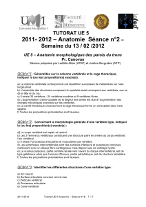2011- 2012 – Anatomie  Séance n°2  TUTORAT UE 5