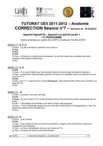 CORRECTION Séance n°7 –  TUTORAT UE5 2011-2012 – Anatomie