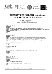 CORRECTION CCB – TUTORAT UE5 2011-2012 – Anatomie Tout le programme