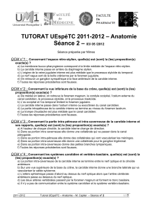 Séance 2 – TUTORAT UEspéTC 2011-2012 – Anatomie QCM n°1 :