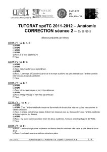 CORRECTION séance 2 –  TUTORAT spéTC 2011-2012 – Anatomie QCM n°1 :