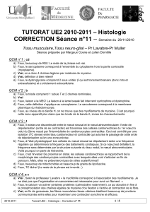 CORRECTION S&eacute;ance n&deg;11 &ndash; &ndash; Histologie