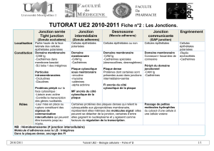 TUTORAT UE2 2010-2011 Fiche n°2 : Les Jonctions. Jonction serrée