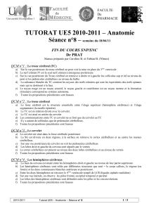 TUTORAT UE5 2010-2011 – Anatomie Séance n°8 – Dr PRAT