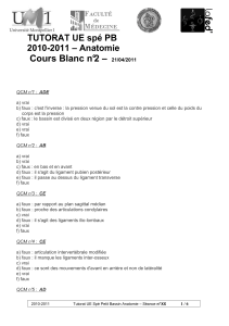 Cours Blanc n°2 – 2010-2011 – Anatomie 21/04/2011
