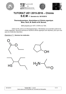 – S.E.M – Chimie