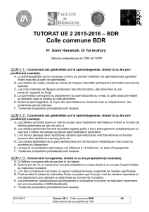 Colle commune BDR TUTORAT UE 2 2015-2016 – BDR