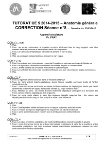 – CORRECTION Séance n°8 – Anatomie générale